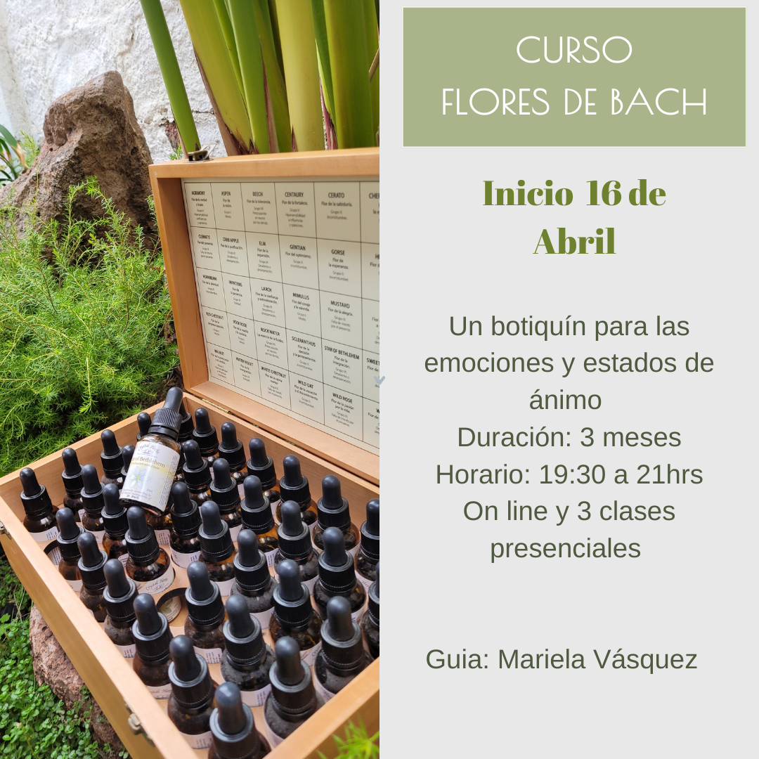 Curso Flores de Bach