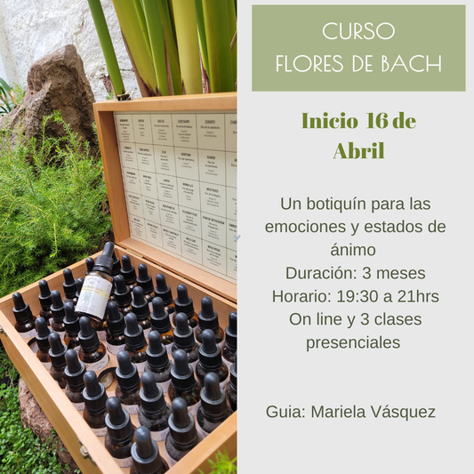 Curso Flores de Bach